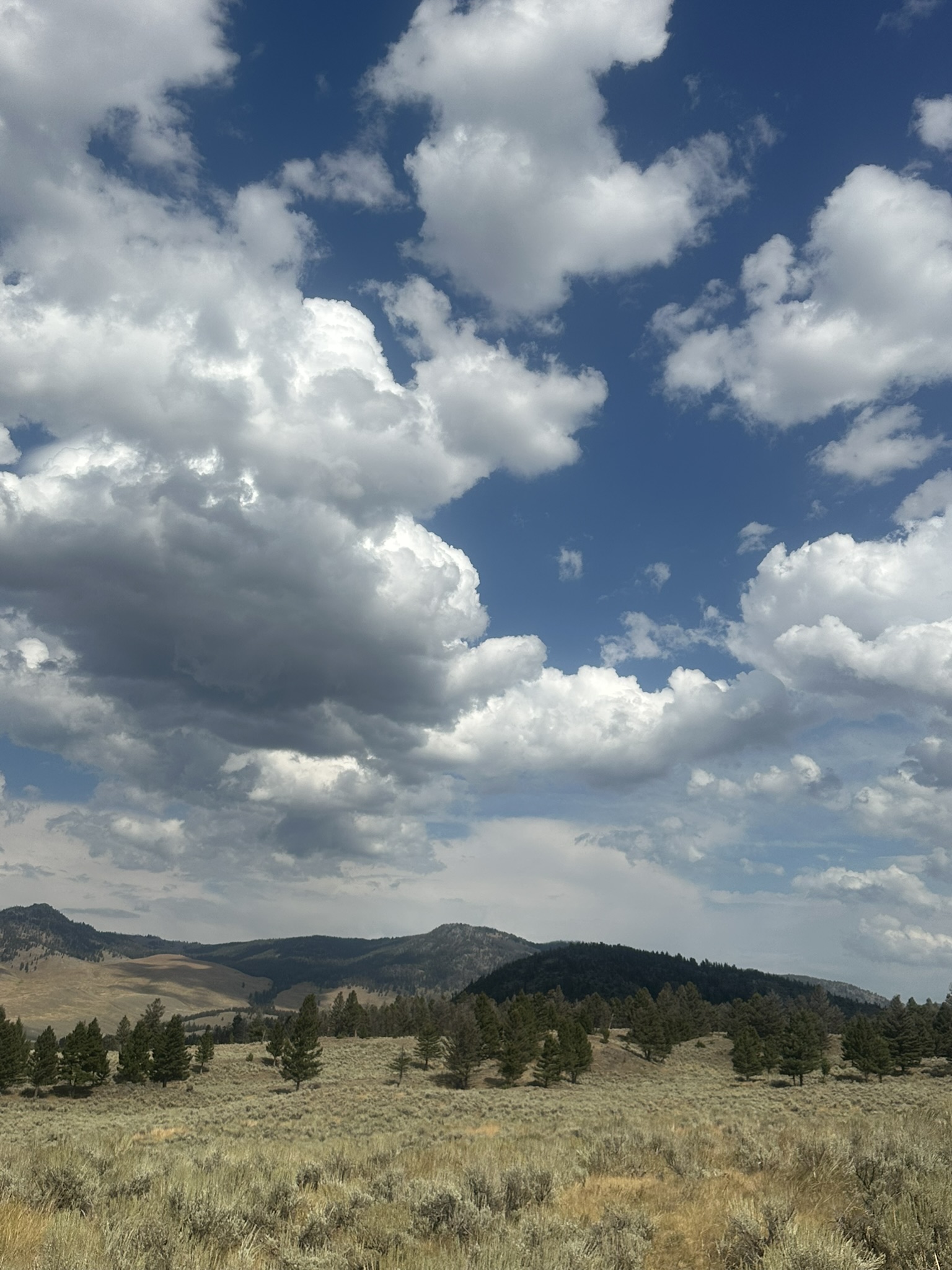 Yellowstone And Grand Teton National Parks - Image 764
